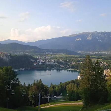 Apartment Mojca Near Bled Zabreznica Εξωτερικό φωτογραφία