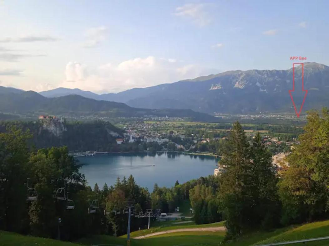 Apartment Mojca Near Bled Zabreznica Εξωτερικό φωτογραφία