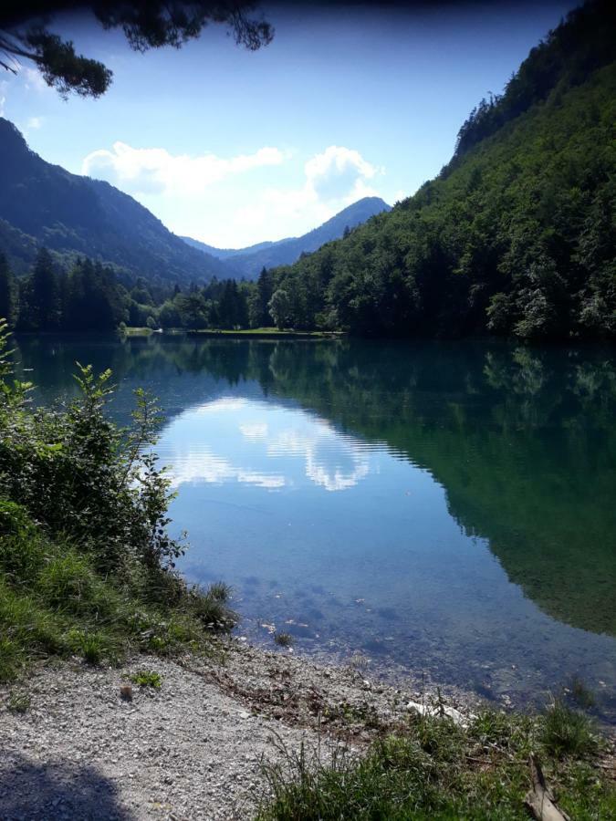 Apartment Mojca Near Bled Zabreznica Εξωτερικό φωτογραφία